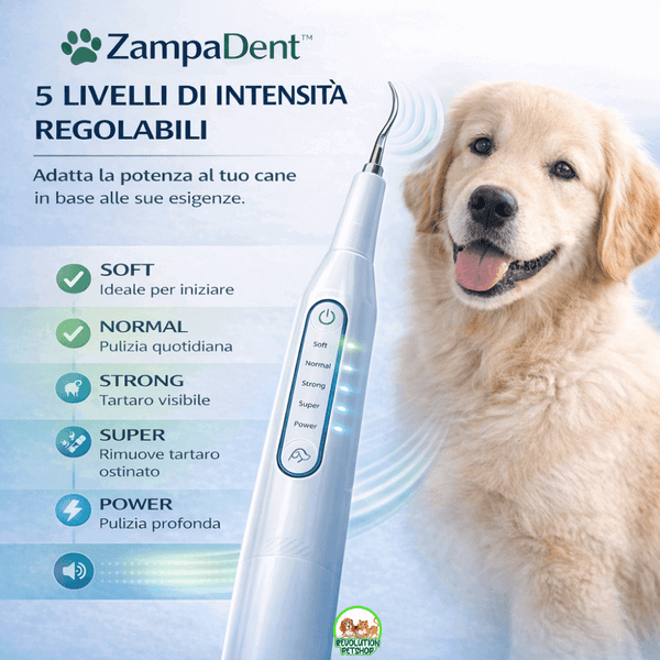 ZampaDent™ Dispositivo Professionale per la Pulizia Dentale del Cane