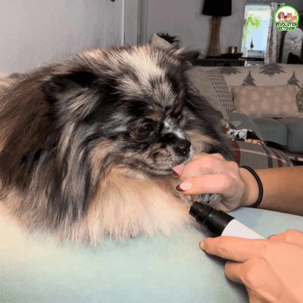 LimaBau® La Lima elettrica Sicura per le Unghie del tuo Cane