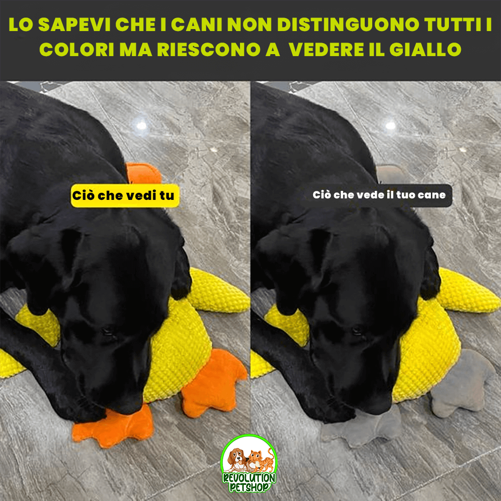 PAPERO CALMANTE QUACKOTTO™