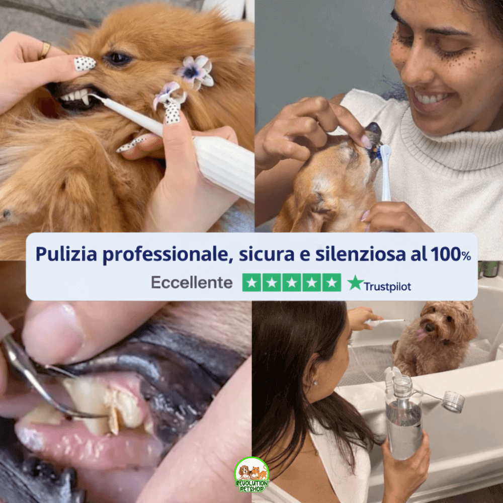 ZampaDent™ Dispositivo Professionale per la Pulizia Dentale del Cane