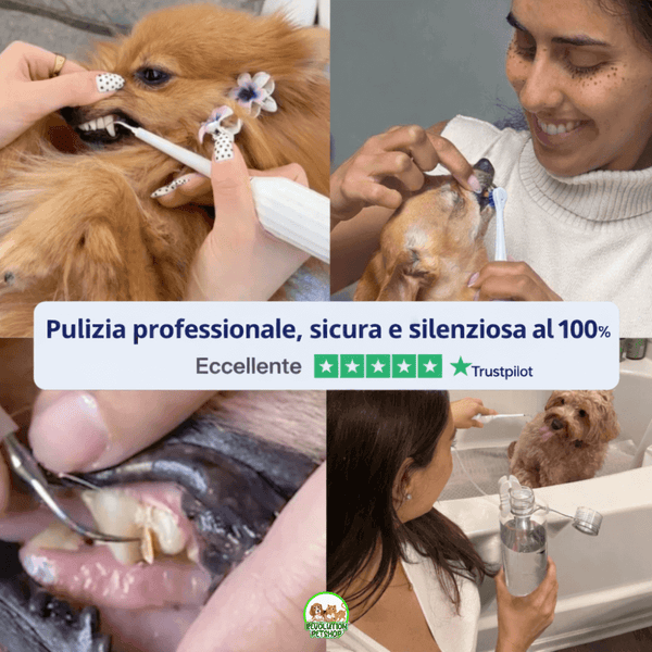 ZampaDent™ Dispositivo Professionale per la Pulizia Dentale del Cane