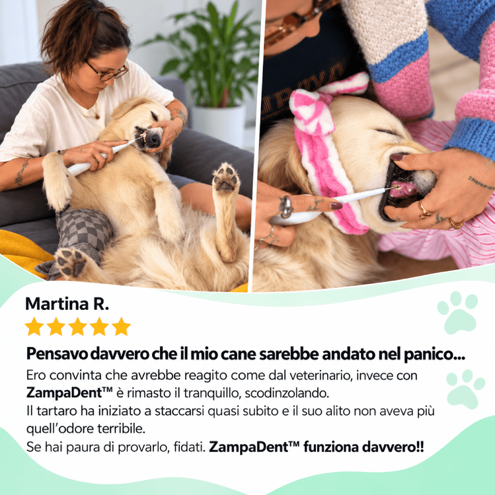 ZampaDent™ Dispositivo Professionale per la Pulizia Dentale del Cane