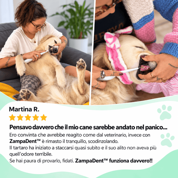 ZampaDent™ Dispositivo Professionale per la Pulizia Dentale del Cane