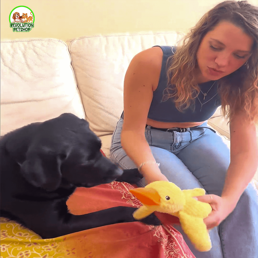 PAPERO CALMANTE QUACKOTTO™