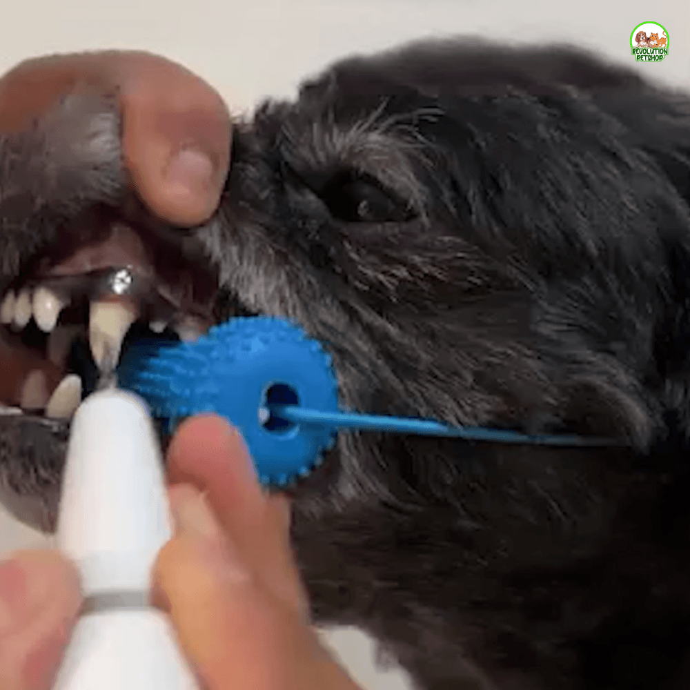 ZampaDent™ Dispositivo Professionale per la Pulizia Dentale del Cane