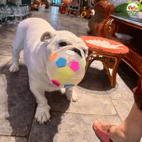 ZAMPAGOL™ PALLA DA CALCIO PER CANI