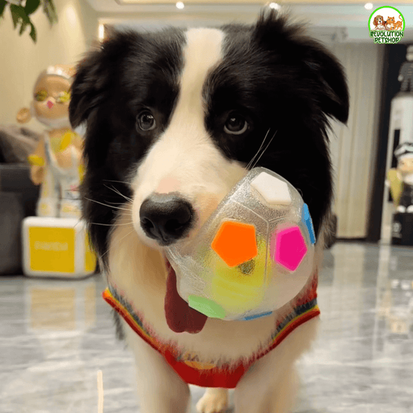 ZAMPAGOL™ PALLA DA CALCIO PER CANI