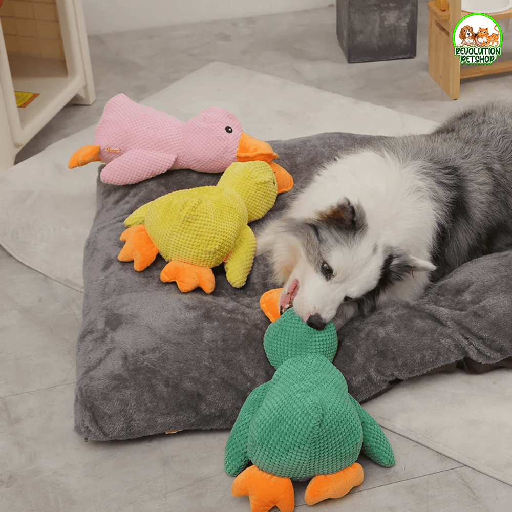 PAPERO CALMANTE QUACKOTTO™