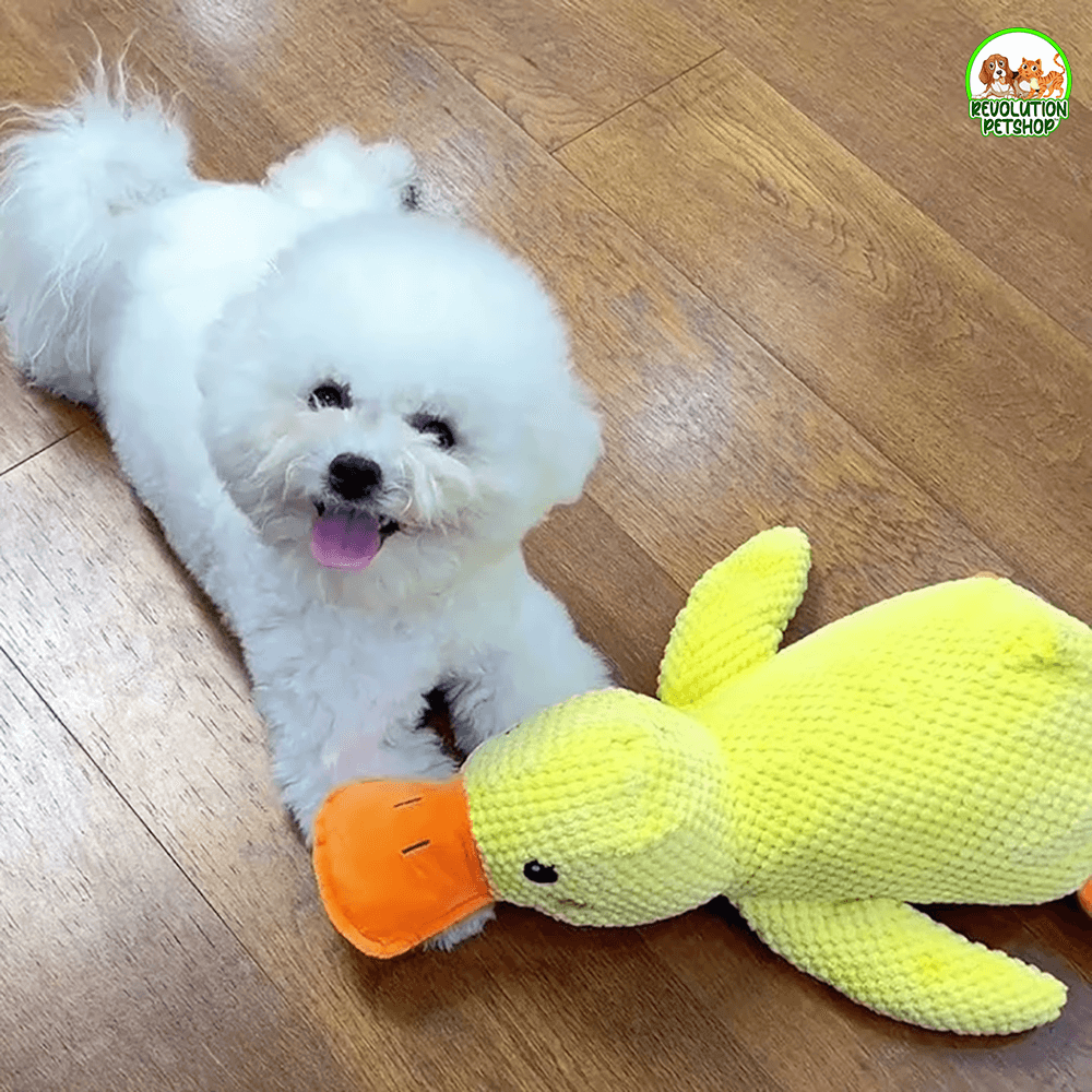 PAPERO CALMANTE QUACKOTTO™