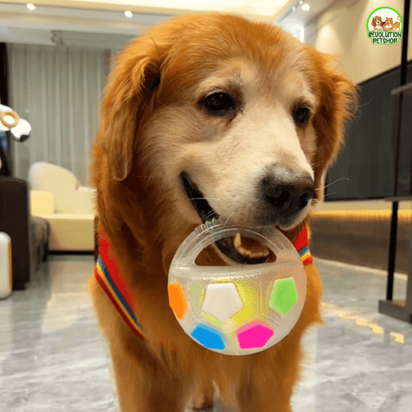 ZAMPAGOL™ PALLA DA CALCIO PER CANI