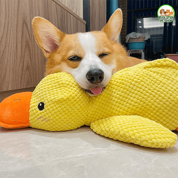 PAPERO CALMANTE QUACKOTTO™