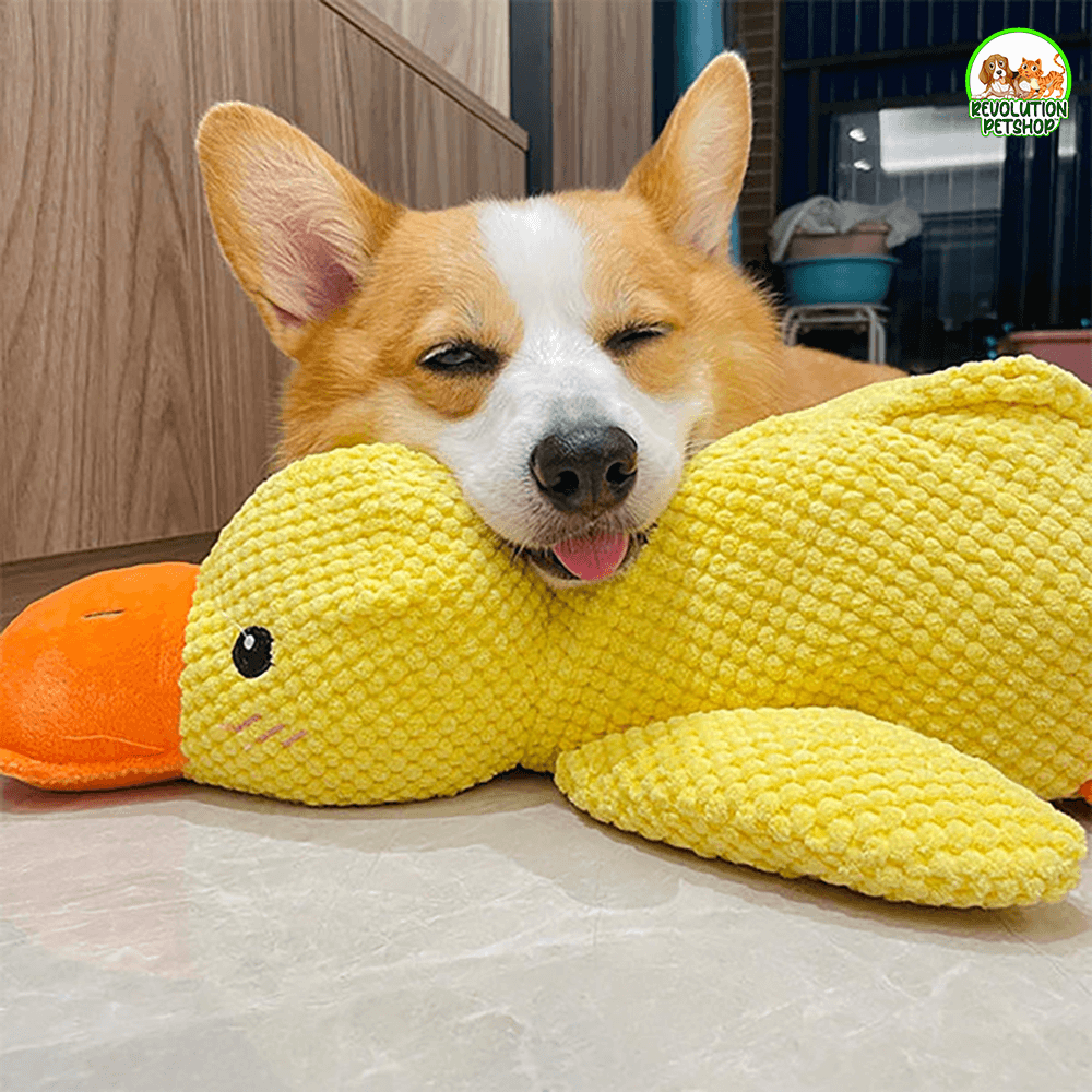 PAPERO CALMANTE QUACKOTTO™