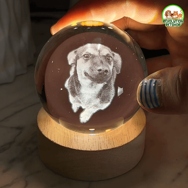 SFERA PERSONALIZZATA ZAMPAETERNA™