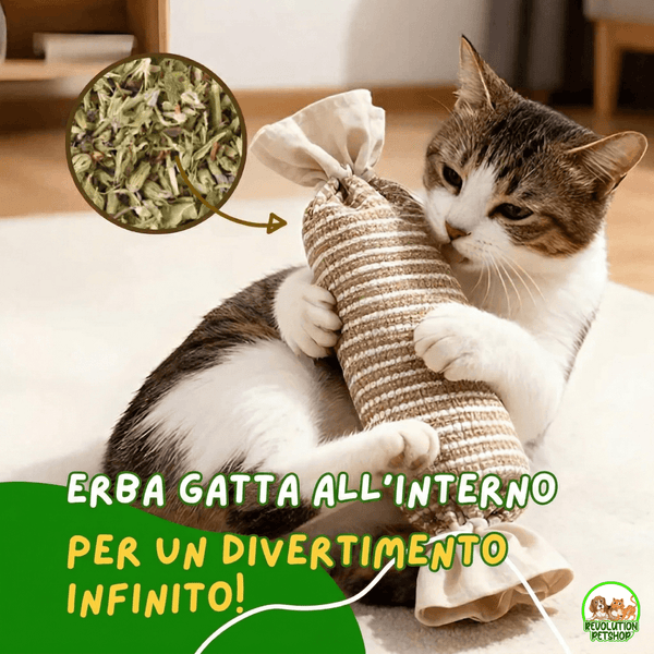 CaraMiao® Caramella interattiva che attiva il suo istinto