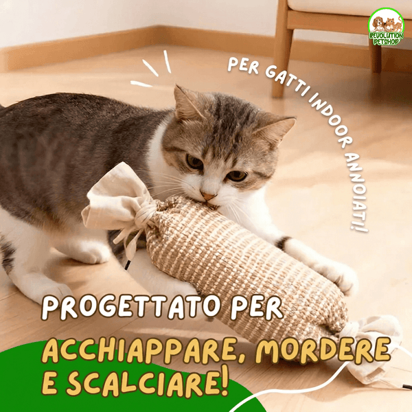 CaraMiao® Caramella interattiva che attiva il suo istinto