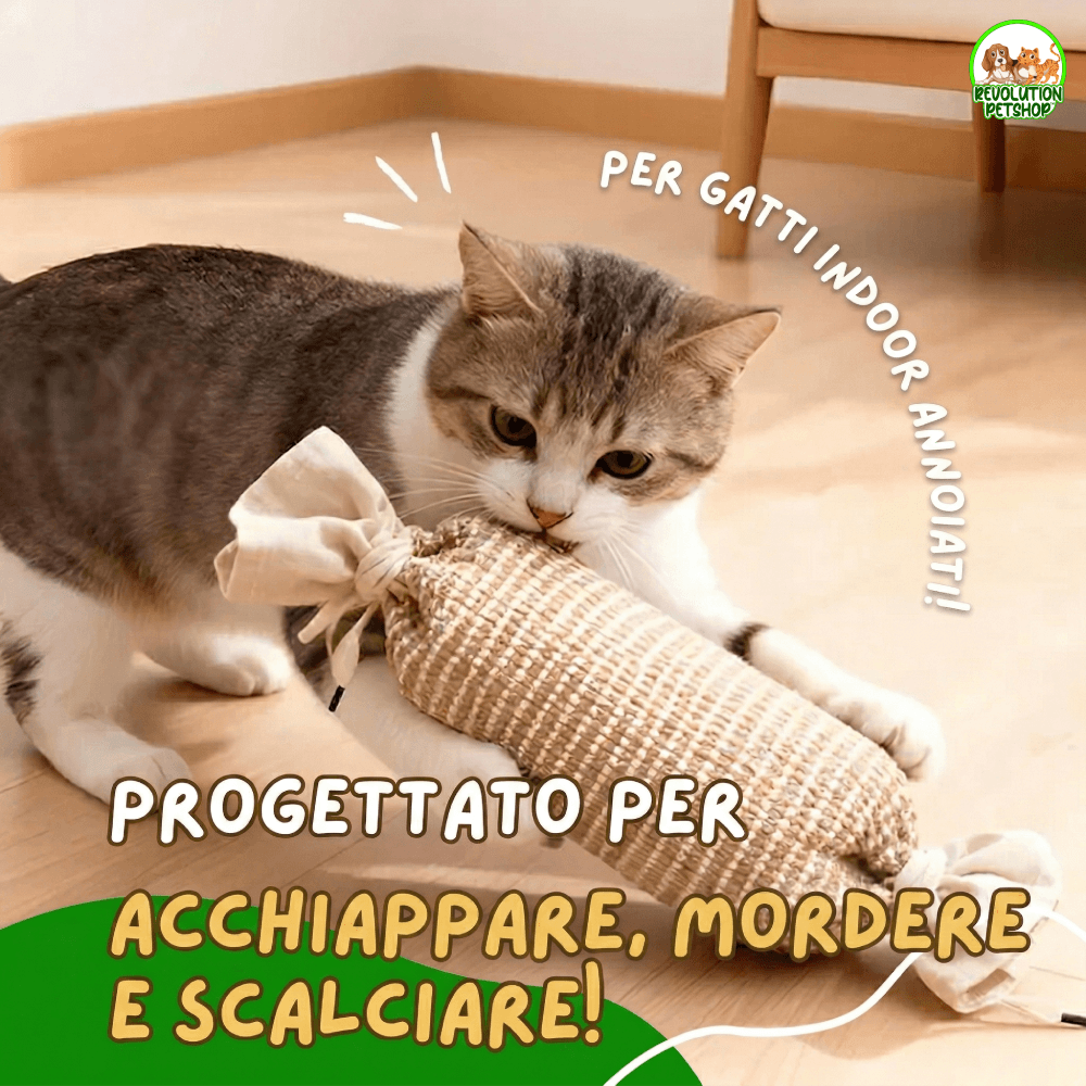 CaraMiao® Caramella interattiva che attiva il suo istinto