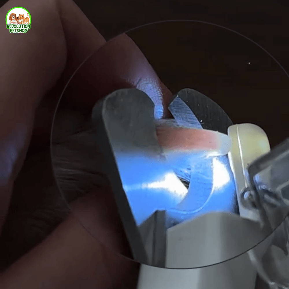 CuraZampa® | Taglia Unghie con Luce LED per Taglio Sicuro e Preciso