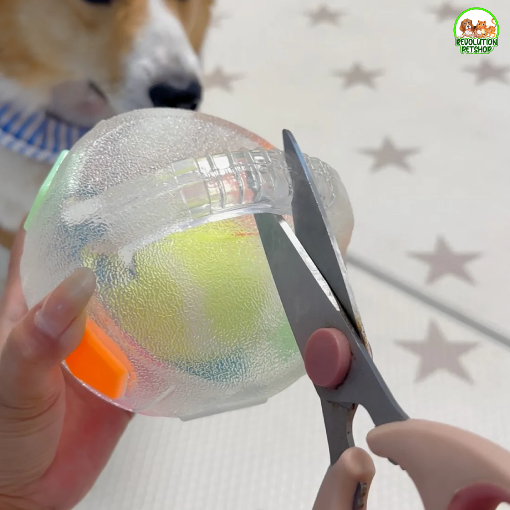 ZAMPAGOL™ PALLA DA CALCIO PER CANI