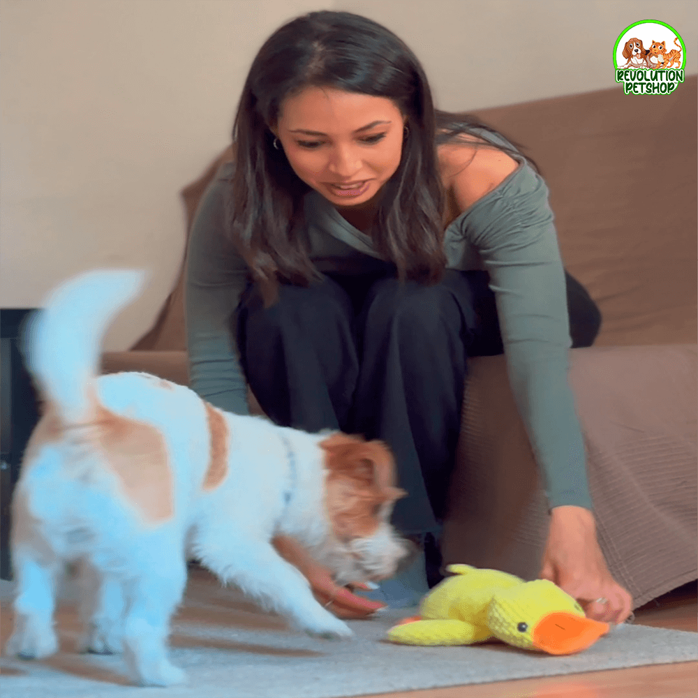 PAPERO CALMANTE QUACKOTTO™