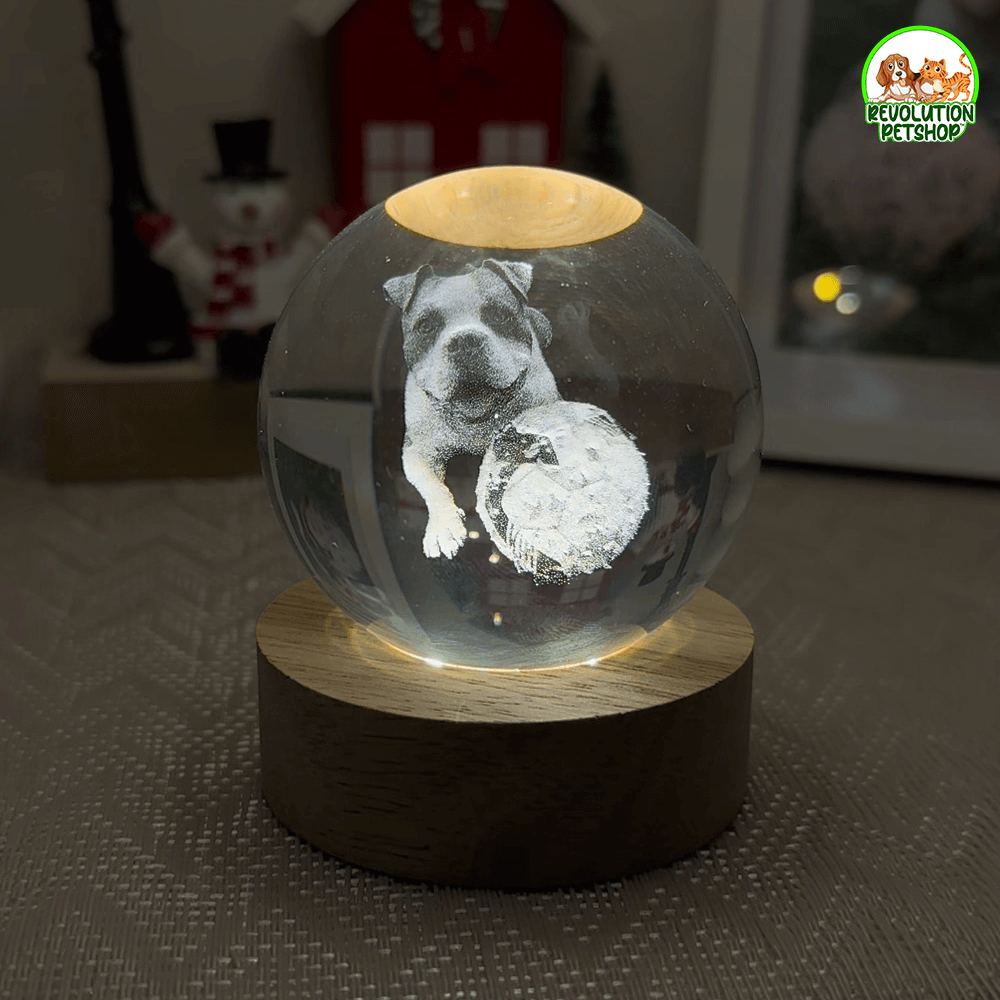 SFERA PERSONALIZZATA ZAMPAETERNA™