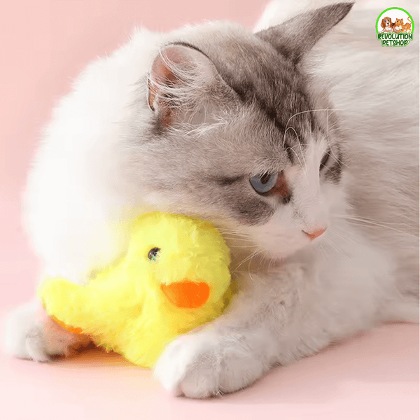 MICIOQUACK® PULCINO INTERATTIVO PER GATTI