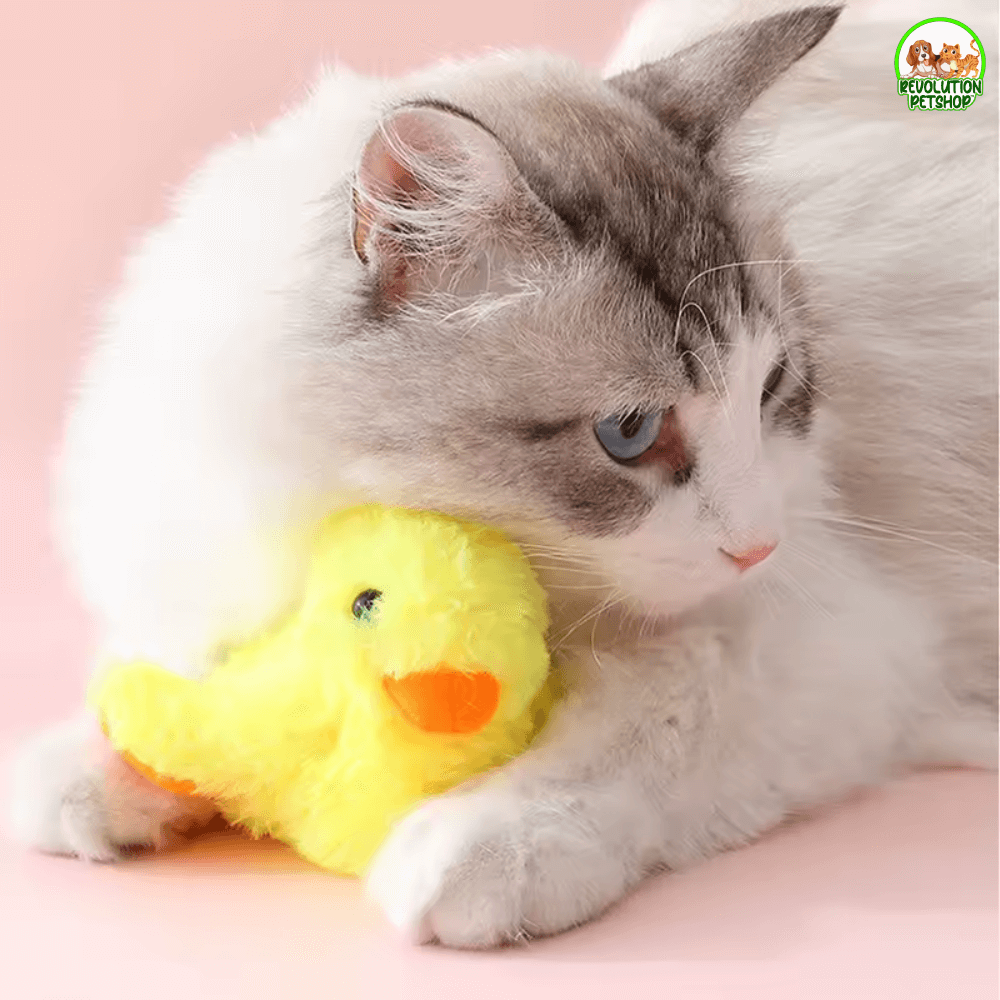 MICIOQUACK® PULCINO INTERATTIVO PER GATTI