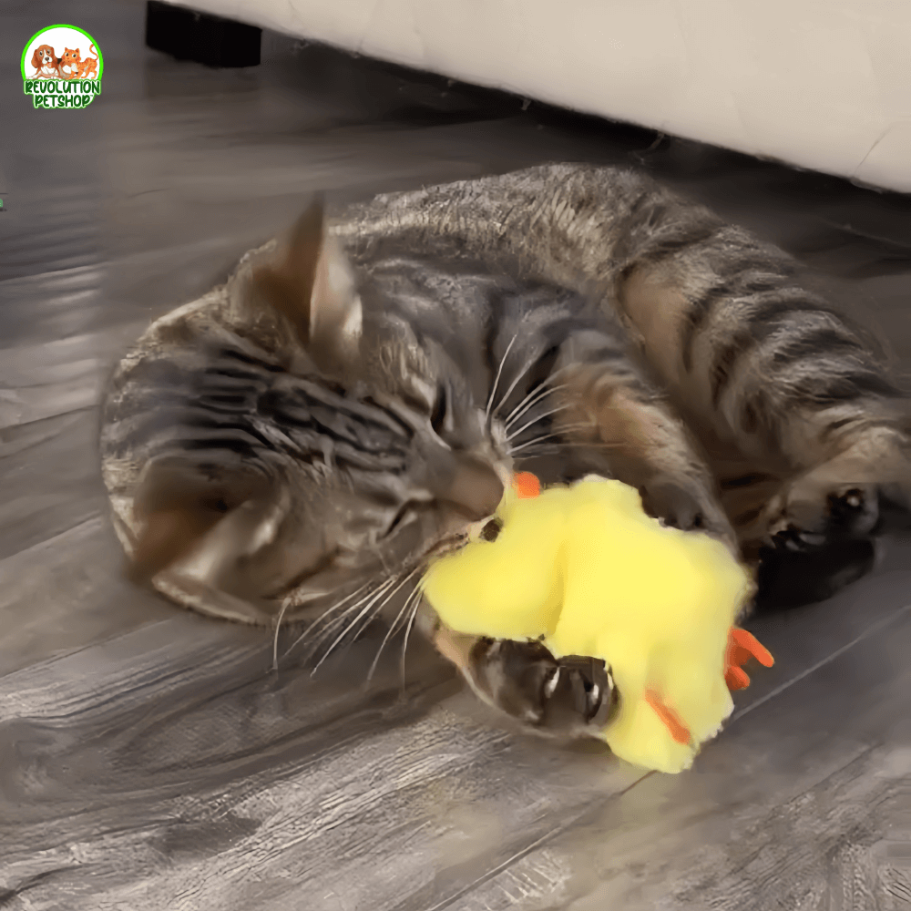MICIOQUACK® PULCINO INTERATTIVO PER GATTI