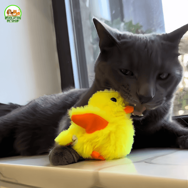 MICIOQUACK® PULCINO INTERATTIVO PER GATTI