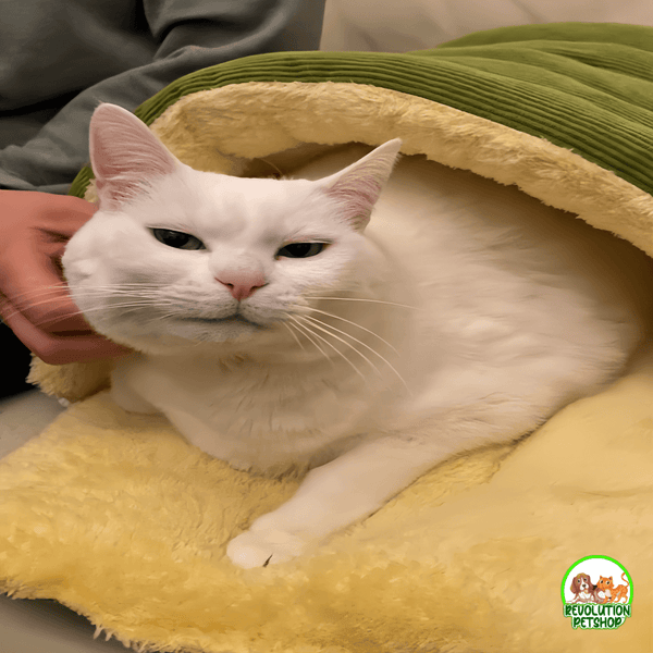 PUFFAZAMPA™ CUCCIA TERMICA 2 IN 1