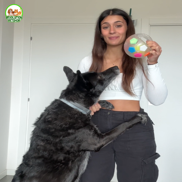 ZAMPAGOL™ PALLA DA CALCIO PER CANI