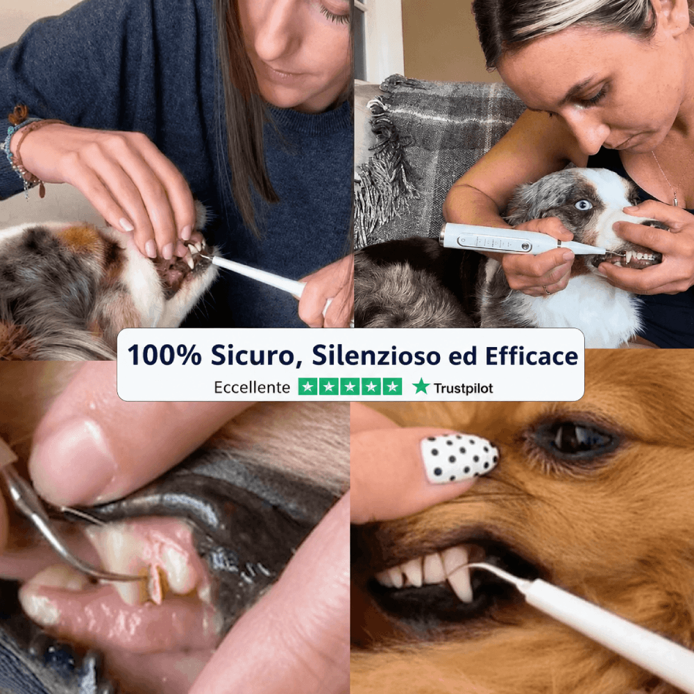 ZampaDent™ Dispositivo Professionale per la Pulizia Dentale del Cane