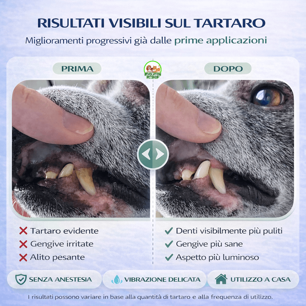 ZampaDent™ Dispositivo Professionale per la Pulizia Dentale del Cane