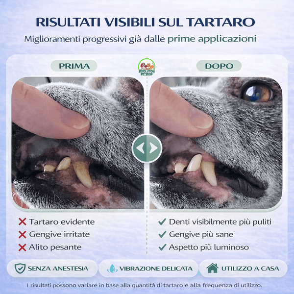 ZampaDent™ Dispositivo Professionale per la Pulizia Dentale del Cane