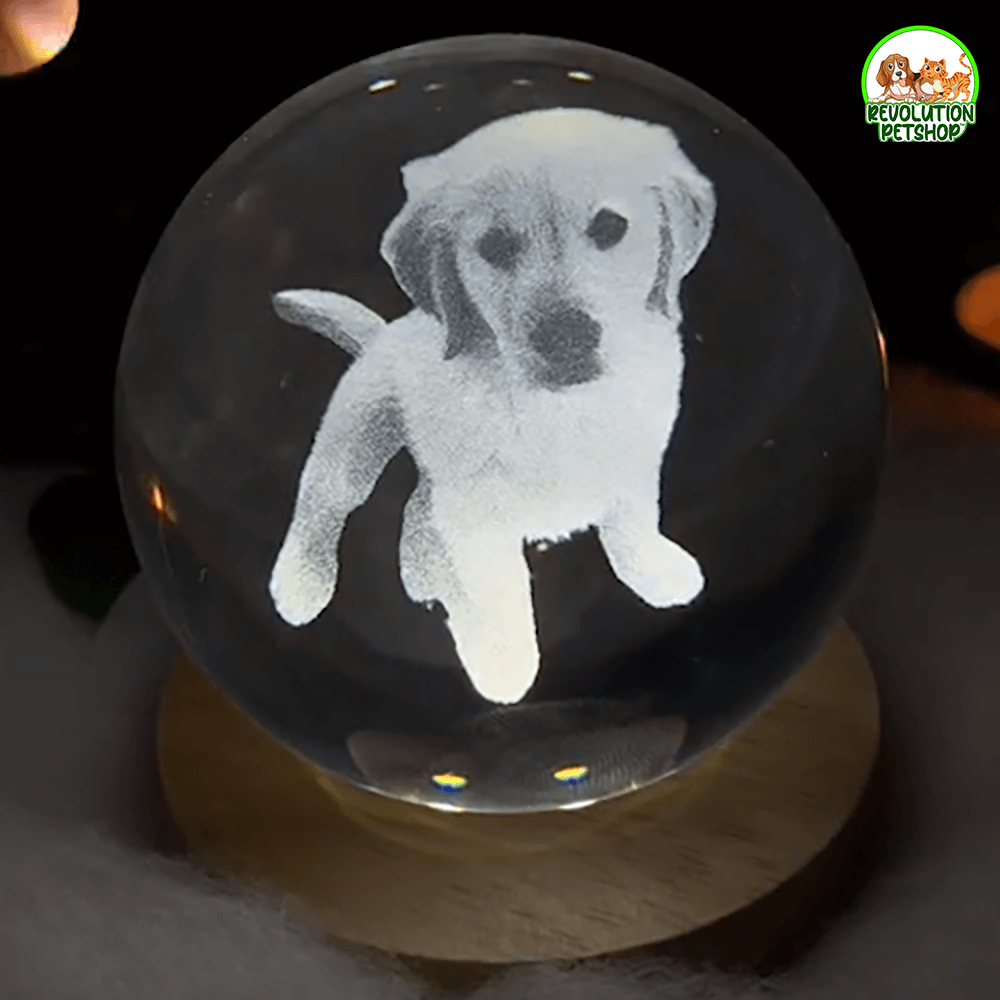 SFERA PERSONALIZZATA ZAMPAETERNA™