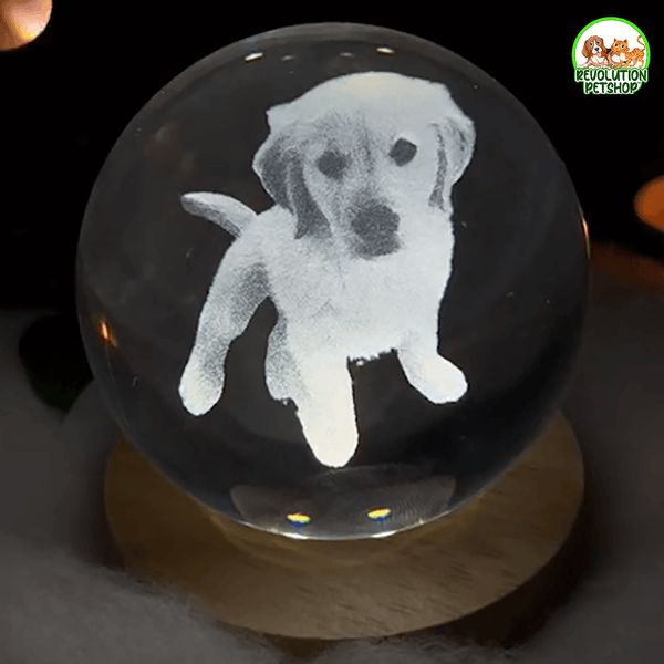 SFERA PERSONALIZZATA ZAMPAETERNA™
