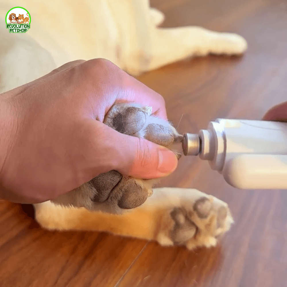 CuraZampa® | Taglia Unghie con Luce LED per Taglio Sicuro e Preciso