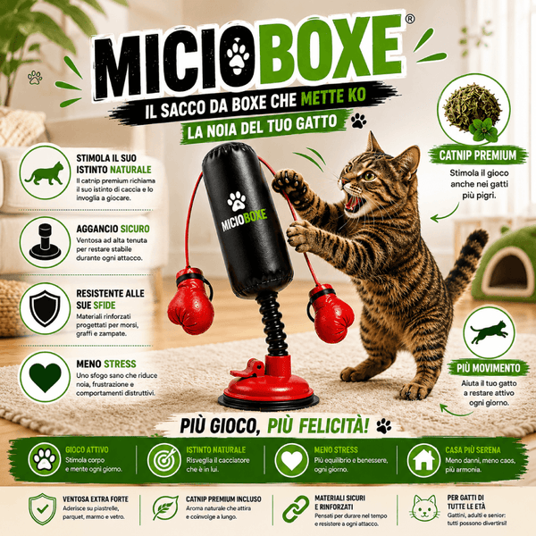 MicioBoxe® Il sacco da Boxe per Gatti