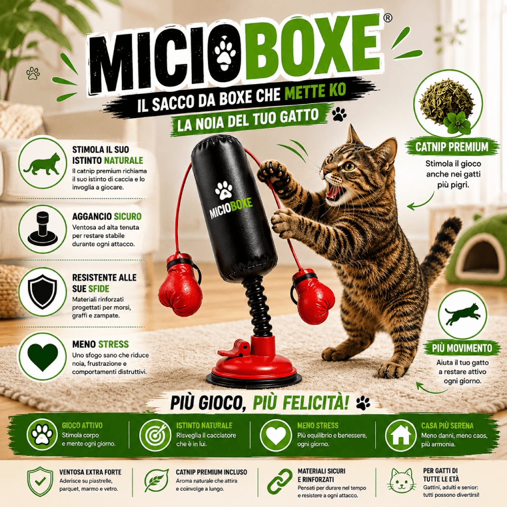 MicioBoxe® Il sacco da Boxe per Gatti