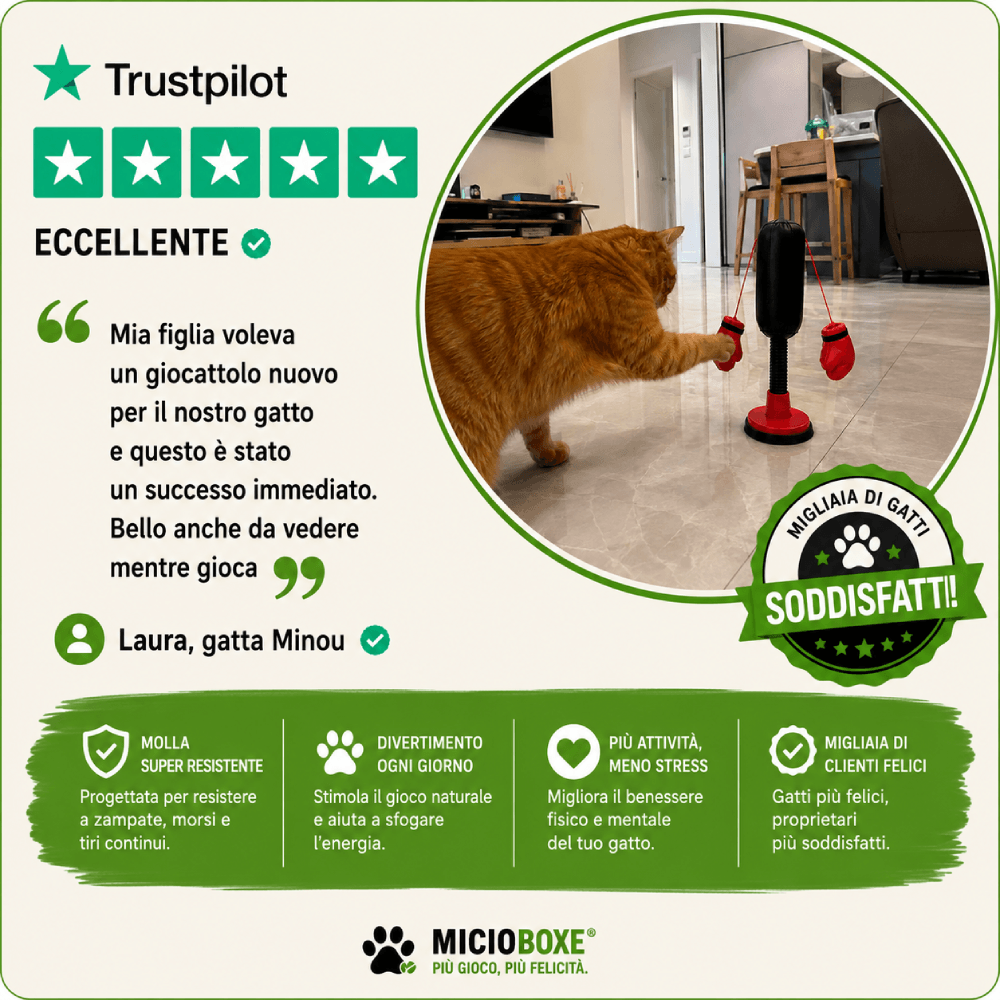 MicioBoxe® Il sacco da Boxe per Gatti