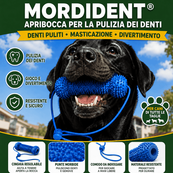 Stick Apribocca per pulizia dentale MordiDent®