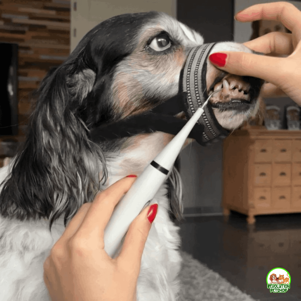 MusoDent™  Fascia Apribocca di supporto per la pulizia dentale