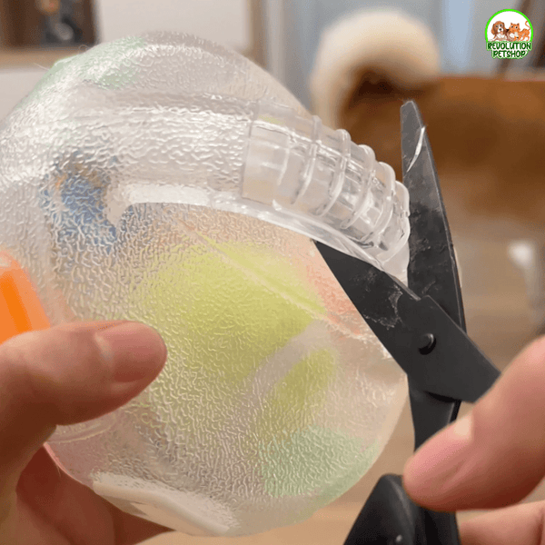 ZAMPAGOL™ PALLA DA CALCIO PER CANI