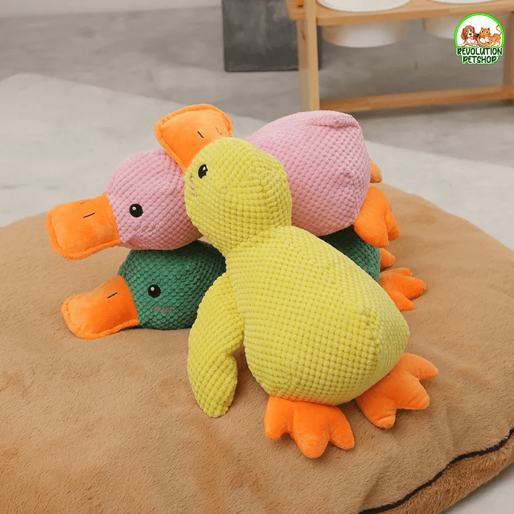 PAPERO CALMANTE QUACKOTTO™