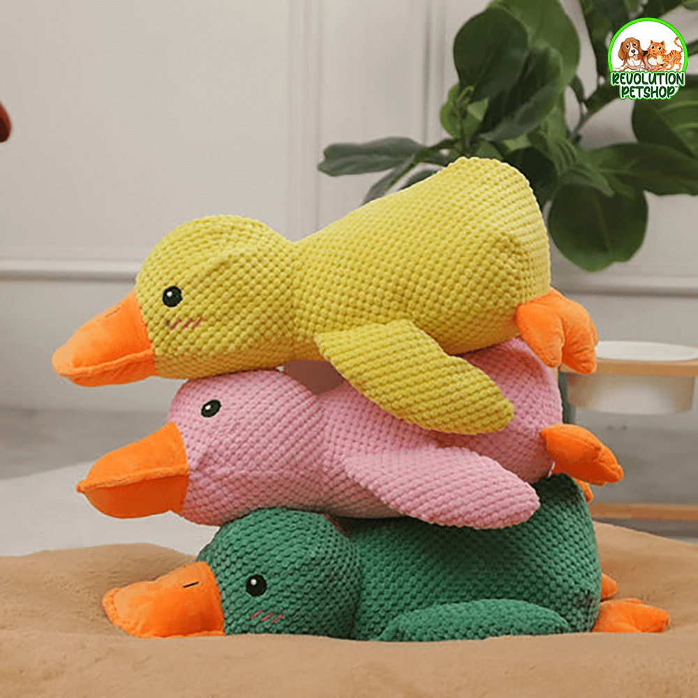 PAPERO CALMANTE QUACKOTTO™