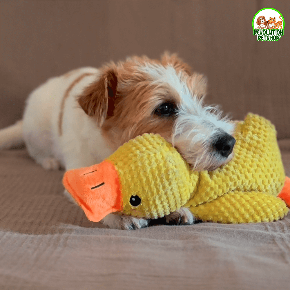 PAPERO CALMANTE QUACKOTTO™