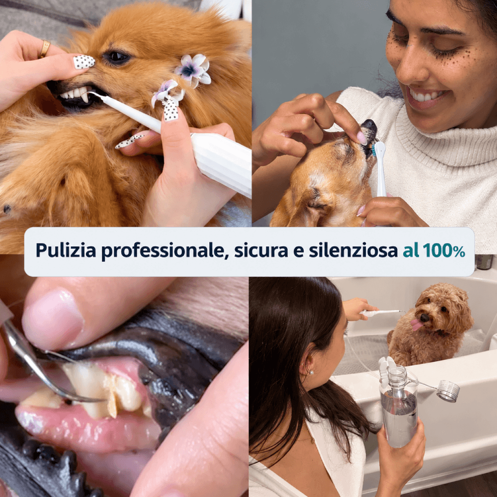 ZampaDent™ Dispositivo Professionale per la Pulizia Dentale del Cane
