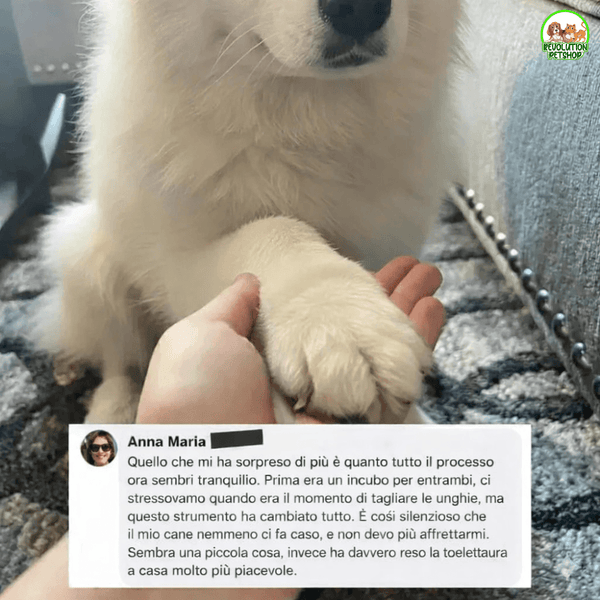 LimaBau® La Lima elettrica Sicura per le Unghie del tuo Cane