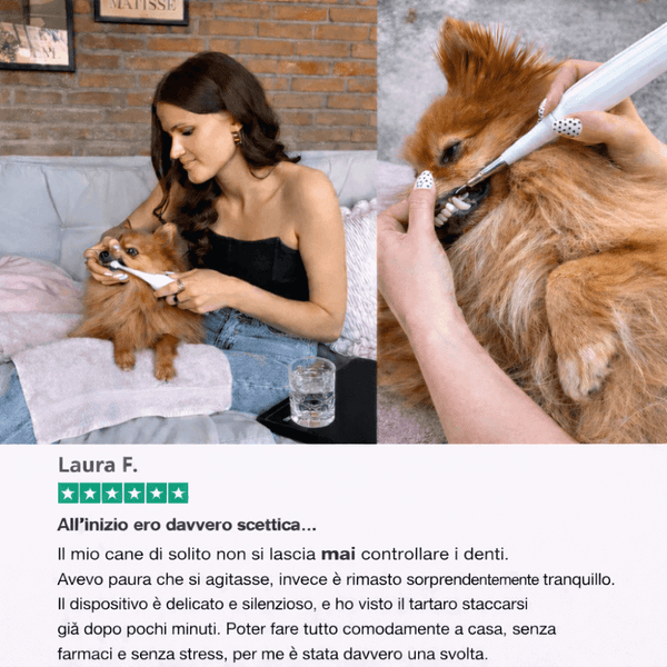 ZampaDent™ Dispositivo Professionale per la Pulizia Dentale del Cane