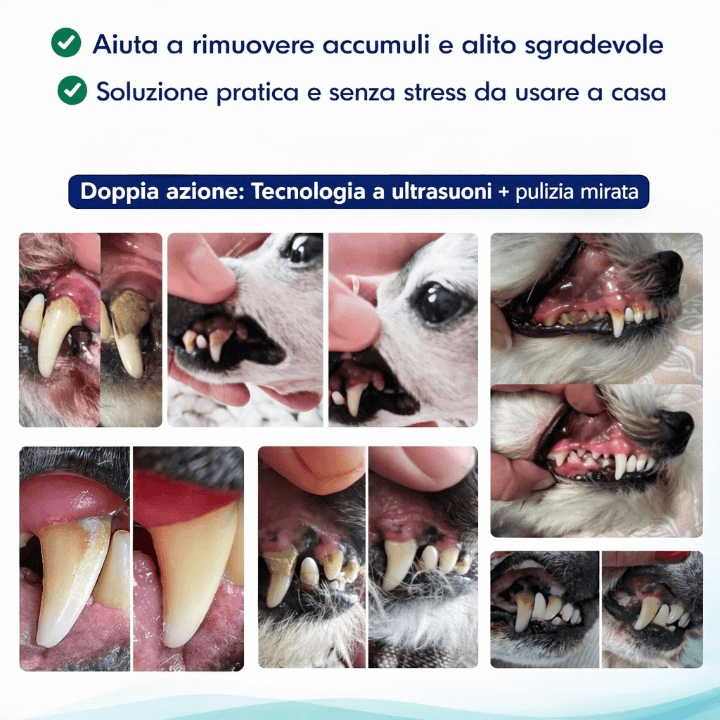 ZampaDent™ Dispositivo Professionale per la Pulizia Dentale del Cane