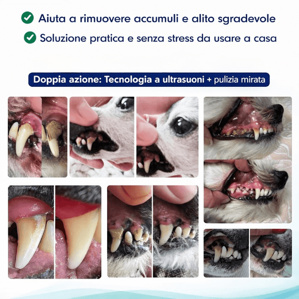 ZampaDent™ Dispositivo Professionale per la Pulizia Dentale del Cane